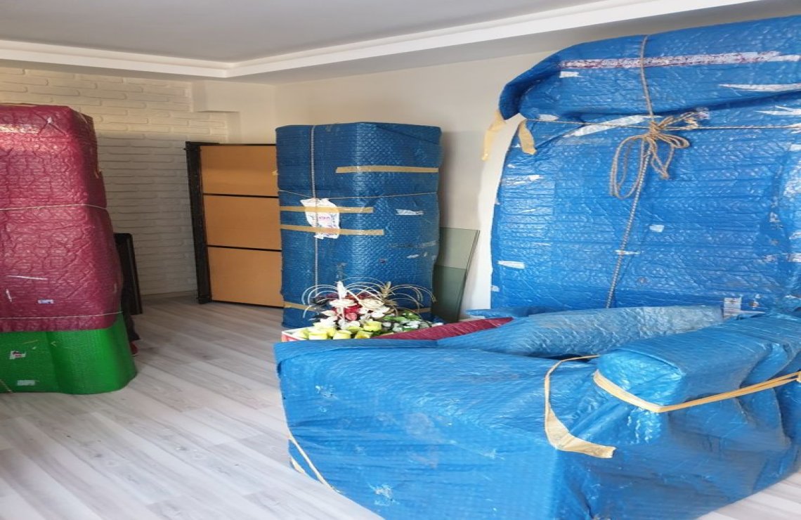 proje